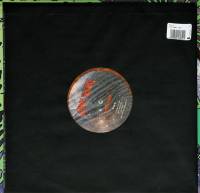ATOMIC VULTURE - INTO ORBIT (ORANGE/RED MARBLED vinyl LP)